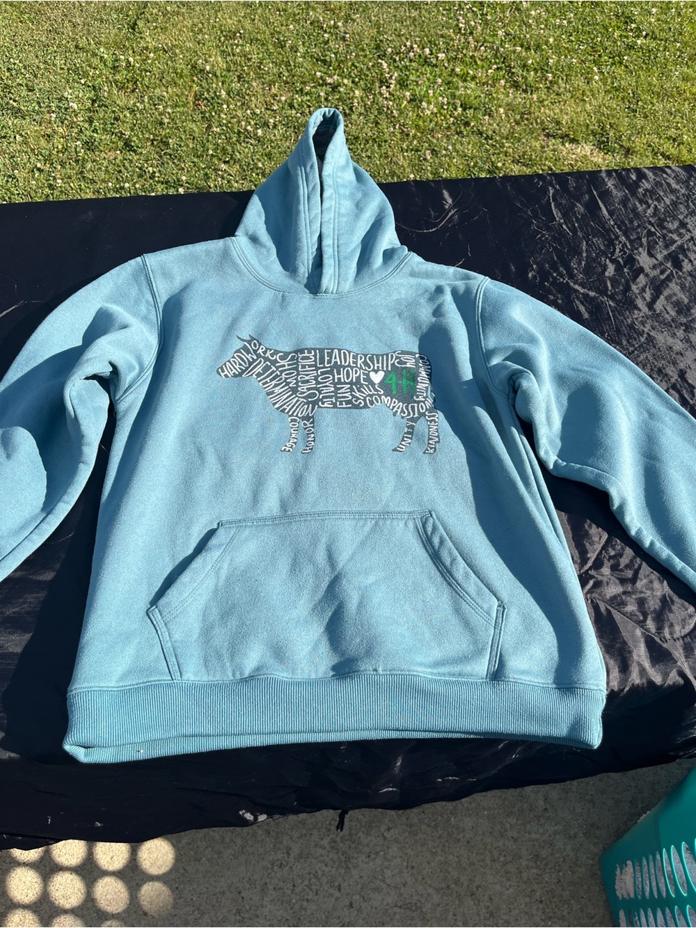 4-H cow Champion Light Blue Hoodie with Word-Art Graphic